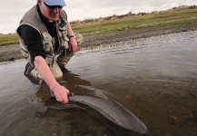  Imagen de Pesca con Mosca de Sea-Trout (Trucha Marrón Anádroma) por Glyn Freeman – Fly dreamers