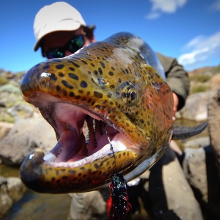 Barrancoso River - Fly fishing for Rainbows - Estancia Laguna Verde Lodge