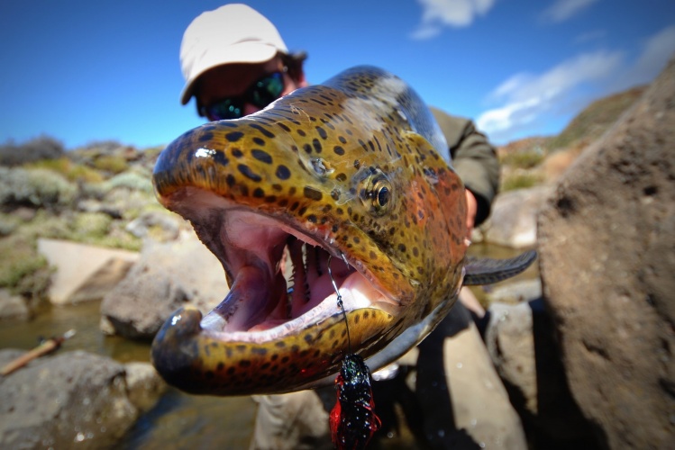 Barrancoso River - Fly fishing for Rainbows - Estancia Laguna Verde Lodge