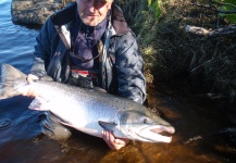 Alexander Elefant 's Fly-fishing Pic of a Atlantic salmon – Fly dreamers 