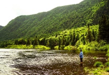 Fly-fishing Situation Pic shared by François Nadeau – Fly dreamers 