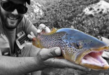 Tolis Lachanas 's Fly-fishing Picture of a Brown trout – Fly dreamers 