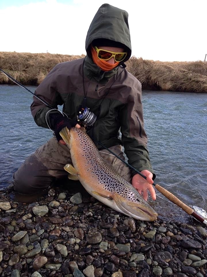 Big Brown Trout from river Varma/Thorleifslaekur (Varmá &amp; Þorleifslækur). April 2014. Brown trout, sea trout, arctic char &amp; atlantic salmon. Follow me on Instagram, username: eliaspeturth