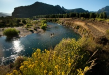  Salmón encerrado – Gran Situación de Pesca con Mosca – Por Estancia Arroyo Verde