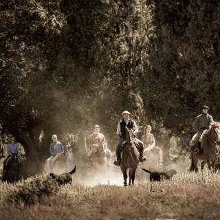Horseriding - Arroyo Verde Lodge