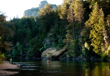 Brown trout Fly-fishing Situation – Estancia Arroyo Verde shared this Nice Image in Fly dreamers 