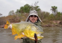 Martin Ruiz 's Fly-fishing Photo of a Golden Dorado – Fly dreamers 