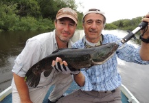 Fly-fishing Pic of Blue Wolf Fish shared by Sebastian Hasenbalg – Fly dreamers 