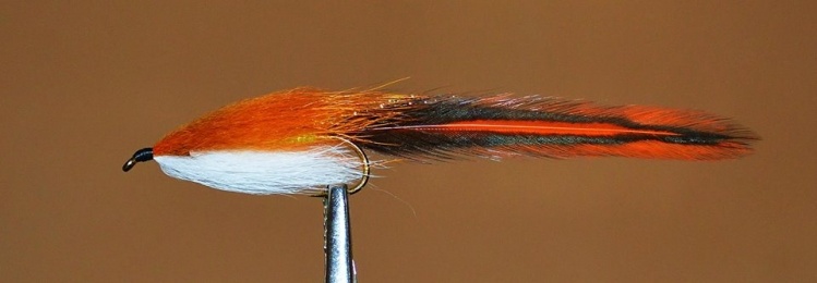 Big mary (whiting Black laced white - Dyed Orange)