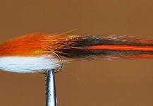 Fly-tying Picture by Ariel Garcia Monteavaro 