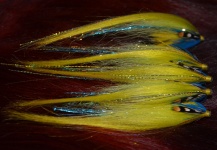 YELLOW SOVI TUBE FLY 