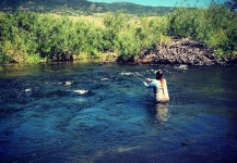 Brook trout Fly-fishing Situation – Bekah Sapp shared this Good Pic in Fly dreamers 