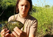 Fly-fishing Image of Chameleon Cichlid shared by Juan Cruz Romero – Fly dreamers