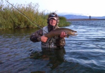 Martin Navarro 's Fly-fishing Photo of a Brown trout – Fly dreamers 