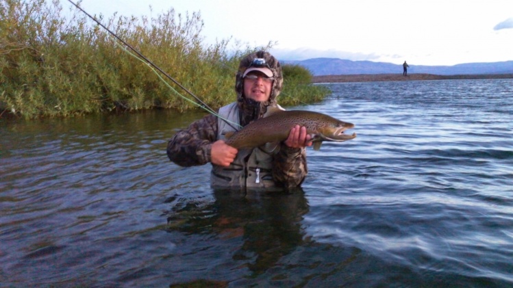 Marron capturada en Los Antiguos, Santa Cruz con un streamer negro y marron