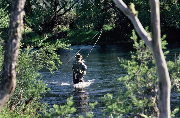 "Pescador de Imágenes"
Alrededor del Lanín.

Mi amigo y compañero de pesca ,Hugo Nochteff  en el rio Malleo.