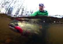 Dave McCoy 's Fly-fishing Image of a Silver salmon – Fly dreamers 