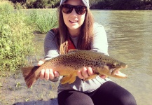 Bekah Sapp 's Fly-fishing Photo of a Brown trout – Fly dreamers 