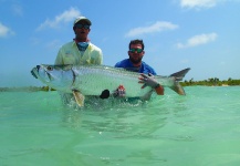 Fly-fishing Pic of Tarpon shared by Ferdinand Eugene Burzler – Fly dreamers 