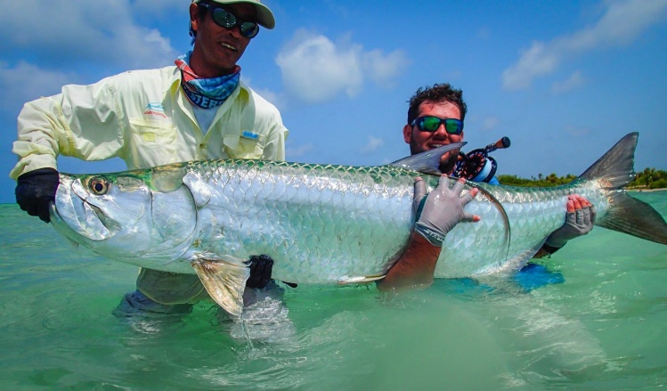 Fly-fishing Picture of Tarpon shared by Ferdinand Eugene Burzler