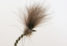 Fly Tying Scotland 's Fly– Fly dreamers 
