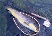 Jim Misiura 's Fly-fishing Catch of a Brown trout – Fly dreamers 