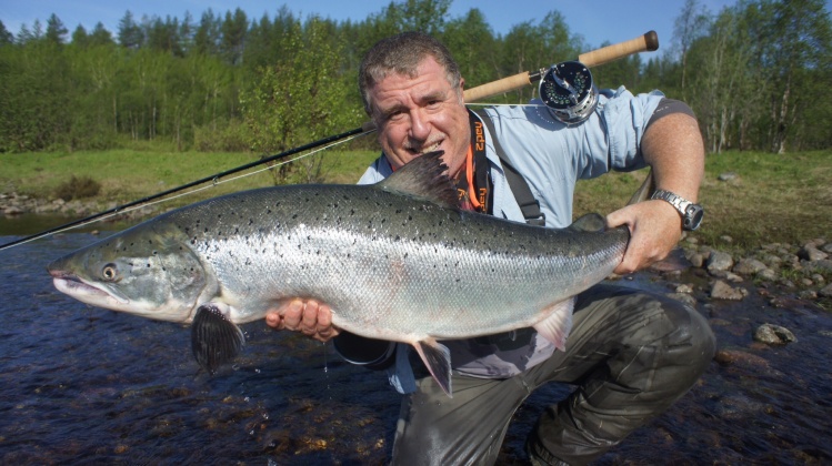 Salmón Atlántico de 15'5 kg y 111cm.
Río kola Rusia junio 2014