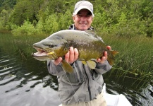 Fly-fishing Image of Salmo trutta shared by Chucao Fishing Lodges – Fly dreamers