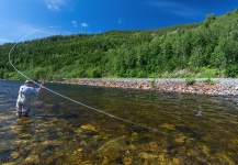 Nice Fly-fishing Situation of Atlantic salmon - Picture shared by Matt Hayes – Fly dreamers