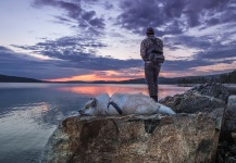 Nice Fly-fishing Situation of Brown trout - Image shared by Matt Hayes – Fly dreamers