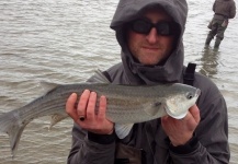 Ebor Benson 's Fly-fishing Pic of a Mullet – Fly dreamers 