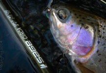 Peter Broomhall 's Great Fly-fishing Gear Picture – Fly dreamers 