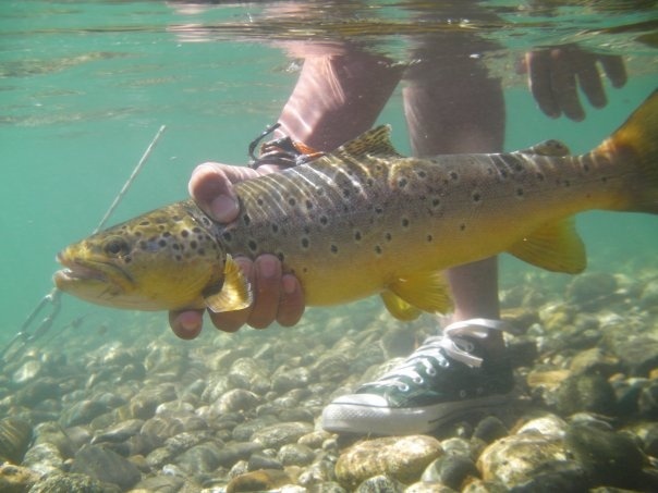 Rio Chimehuin Junin de los Andes Junto a Flotadas Chimehuin.