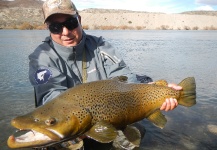 Fly-fishing Photo of Brown trout shared by Rio Dorado Lodge – Fly dreamers 