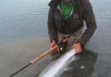  Fotografía de Pesca con Mosca de Steelhead por Juan Manuel Orona – Fly dreamers 