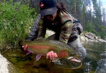 Brett Macalady 's Fly-fishing Picture of a Rainbow trout – Fly dreamers 