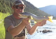 Colorado River. Robert Gibbes Fly Fishing
