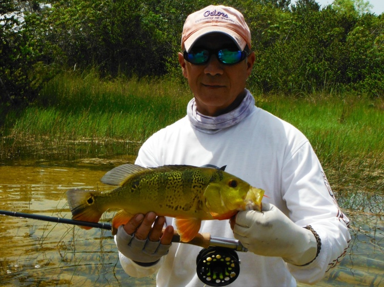 Freshwater fishing in the Florida Everglades