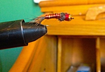 DJ Golden 's Fly-tying Photo – Fly dreamers 