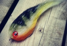 Norbert Renaud 's Fly for Pike -  Photo – Fly dreamers 