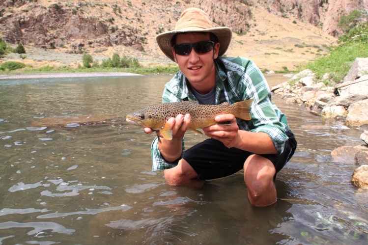 A 16" Clarks Fork brown. 