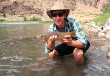 Fly-fishing Image of Brown trout shared by Wendell Baer – Fly dreamers