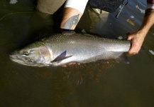 Tyler Dunsmore 's Fly-fishing Pic of a Steelhead – Fly dreamers 