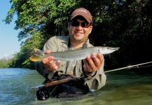  Foto de Pesca con Mosca de Picuda o Bicuda por Mau Velho – Fly dreamers 