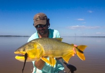 Fly-fishing Photo of Golden Dorado shared by Alfonso Aragon – Fly dreamers 