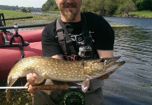 Fly-fishing Photo of Pike shared by Norbert Renaud – Fly dreamers 