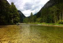 Grayling Fly-fishing Situation – Marco Cipriani shared this Impressive Image in Fly dreamers 