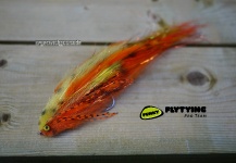 Norbert Renaud 's Fly for Pike - Picture – Fly dreamers 