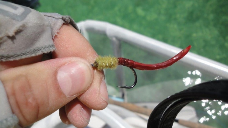 una Worm para tarpon