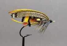 EUNAN HENDRON 's Fly for Atlantic salmon - Picture – Fly dreamers 